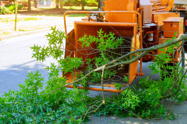 Best Weed Control  in Moonachie, NJ